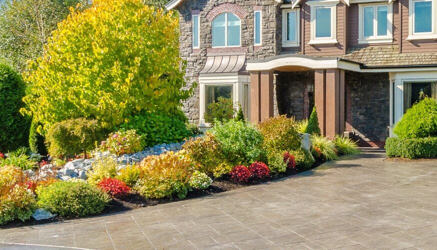 CC garden driveway 1 CC garden driveway 1