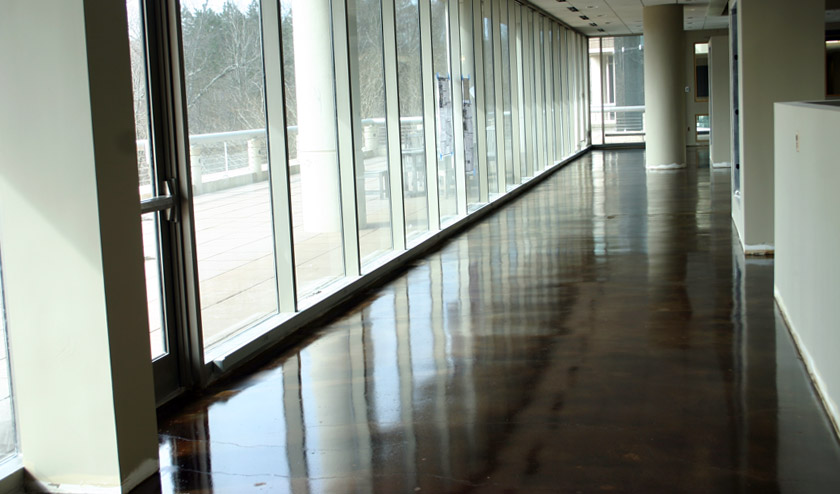 Commercial Building Stained Concrete Office Floors 