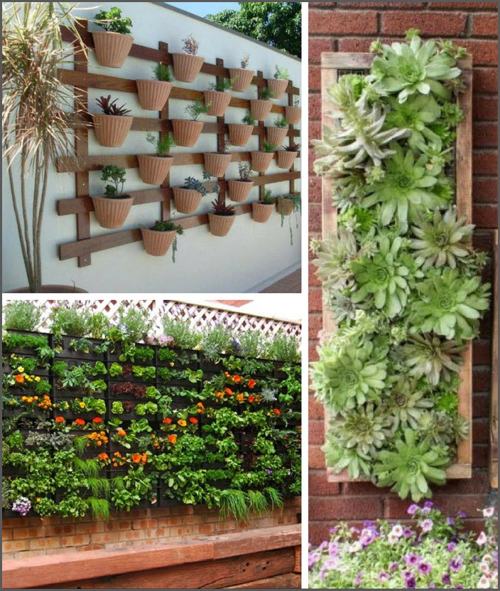 Grow fresh vegetables even in a small space Grow fresh vegetables even in a small space