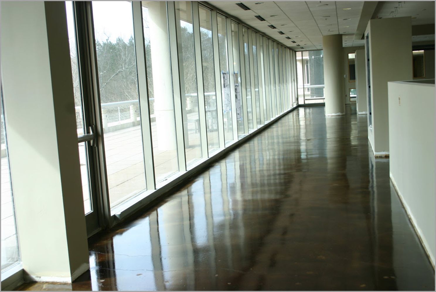 stained-decorative-concrete-commerical-hall.jpg
