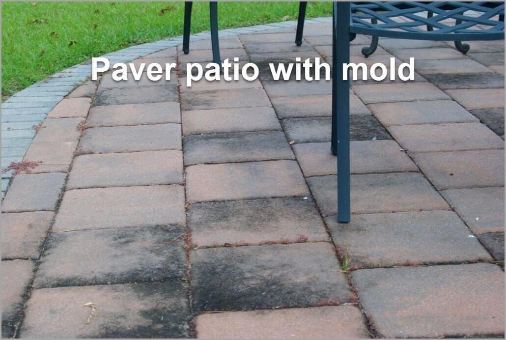 paver-patio-with-mold