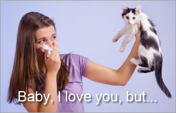 Allergens and avoiding them in your home Allergens and avoiding them in your home