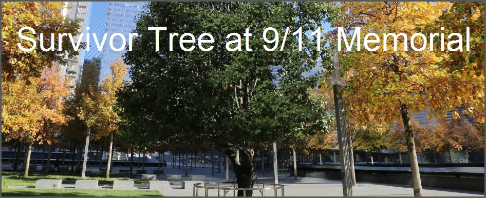 Survivor Tree Survivor Tree