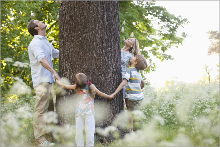 sustainability-green-design sustainability-green-design