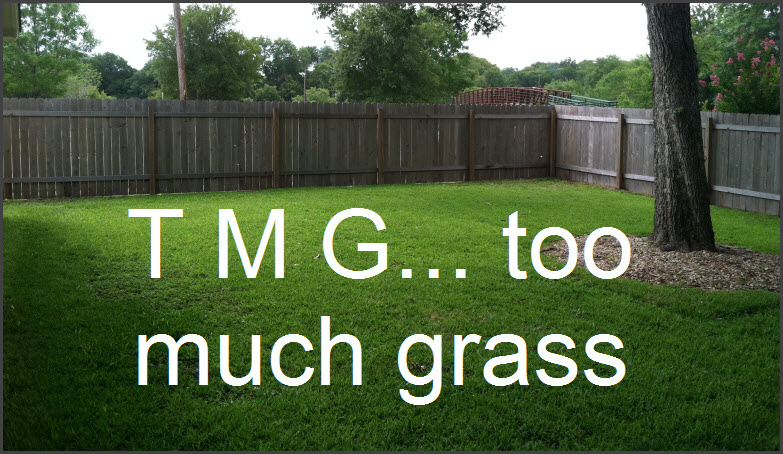 Too Much Grass 