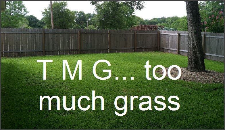 Too Much Grass Too Much Grass